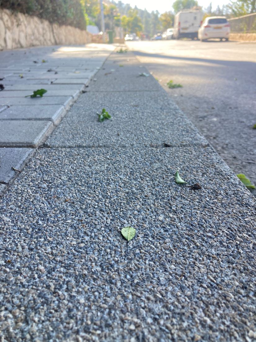 אבן שפה רחבה