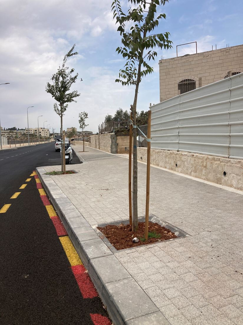 גומה לעץ מרובע